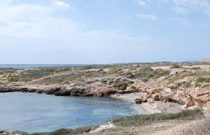 Spiagge Lampedusa